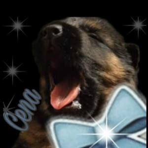 Meet your Posher, Evan